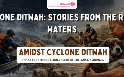 Amidst Cyclone Ditwah: The Silent Struggle and Rescue of Sri Lanka’s Animals
