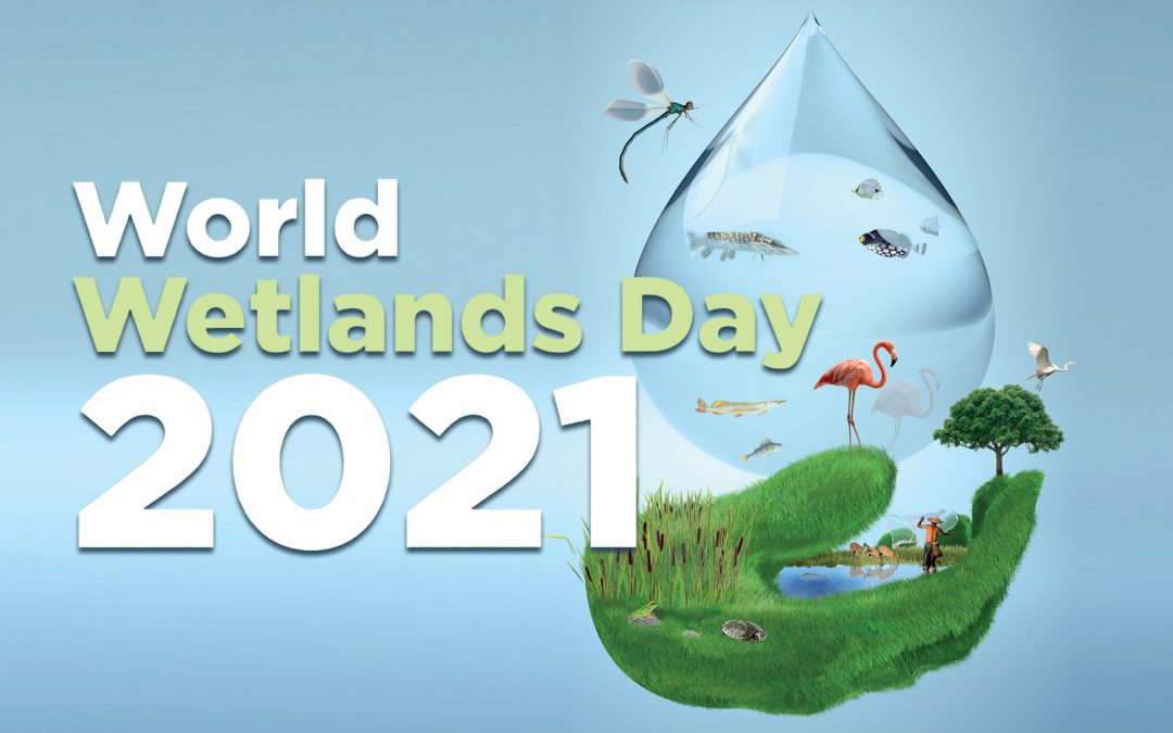 World Wetlands Day 2021: Wetlands and Water