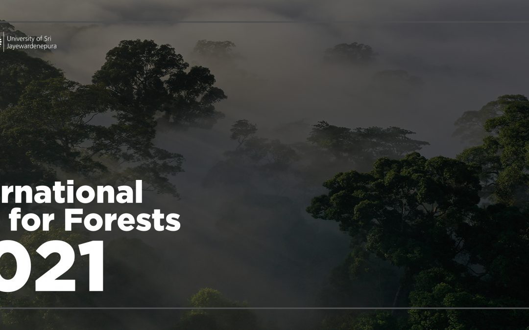 International Day for Forests