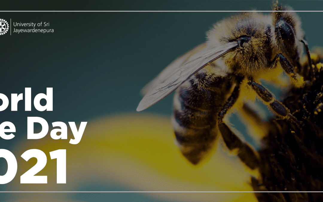 World Bee Day 2021