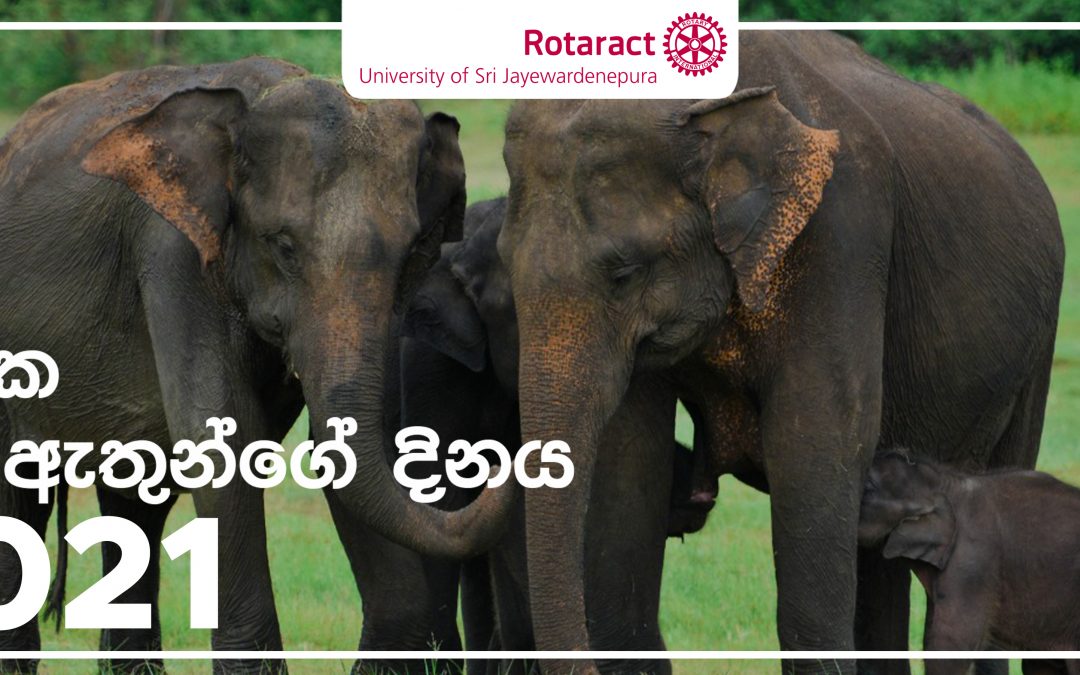 ලෝක අලි ඇතුන්ගේ දිනය 2021