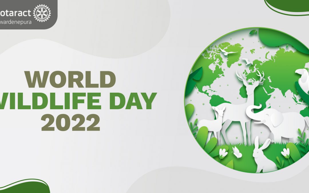 World Wildlife Day 2022