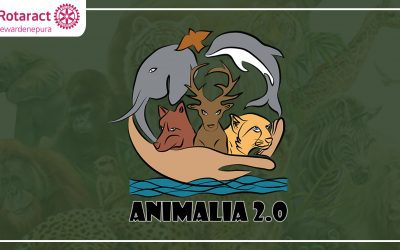 Animalia 2.0