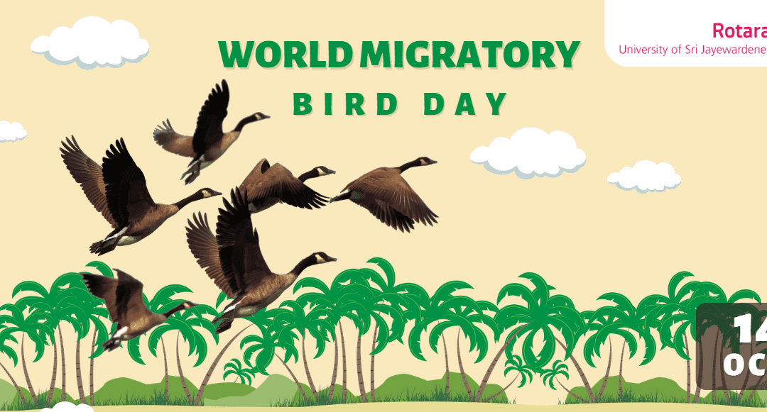 World Migratory Bird Day