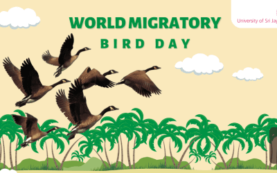 World Migratory Bird Day