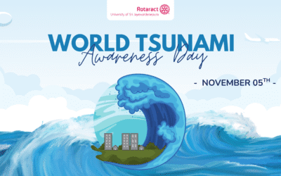 Rising Above the Waves: Understanding Tsunami Awareness and Preparedness