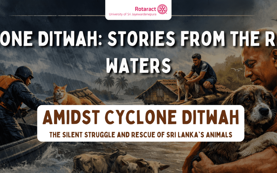 Amidst Cyclone Ditwah: The Silent Struggle and Rescue of Sri Lanka’s Animals
