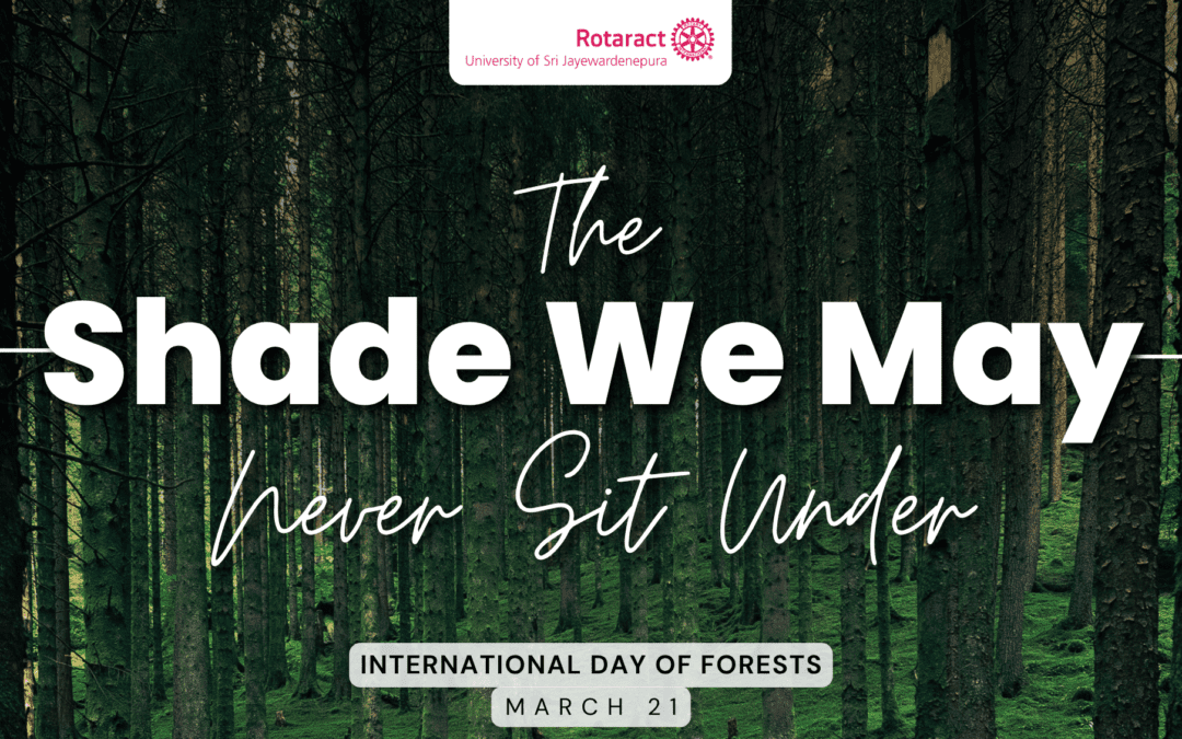 The Shade We May Never Sit Under…